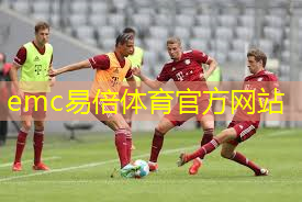 emc易倍：家用乒乓球台垫