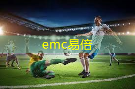 emc易倍体育官方网站：宅男室内健身